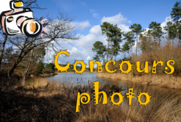 Concours photo