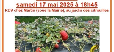 INIVITATION PLANTATION DES CITROUILLES le samedi 17 mai 2025 à partir de 18h45