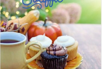 AGENDA DES MANIFESTATIONS SUD CHARENTE novembre 2025