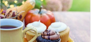 AGENDA DES MANIFESTATIONS SUD CHARENTE novembre 2025