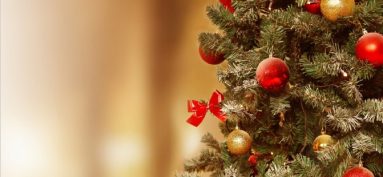 AGENDA DES MANIFESTATIONS SUD CHARENTE 12/25 ﻿🎄