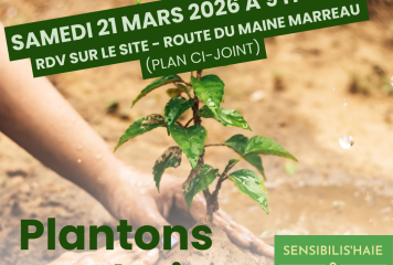 PLANTATION d’une HAIE le 21 mars 2026 à 9h à RIOUX-MARTIN🌿